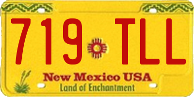 NM license plate 719TLL