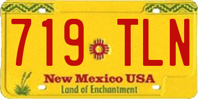 NM license plate 719TLN