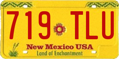 NM license plate 719TLU