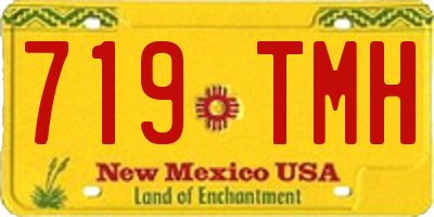 NM license plate 719TMH