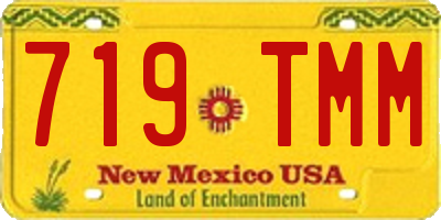 NM license plate 719TMM