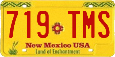 NM license plate 719TMS