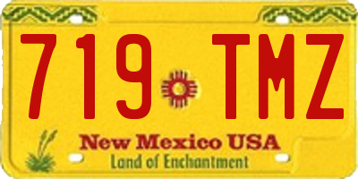 NM license plate 719TMZ