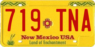 NM license plate 719TNA