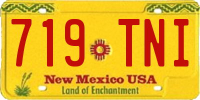 NM license plate 719TNI