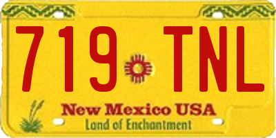 NM license plate 719TNL