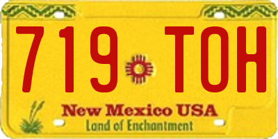 NM license plate 719TOH
