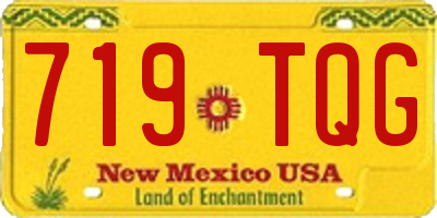 NM license plate 719TQG