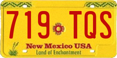 NM license plate 719TQS