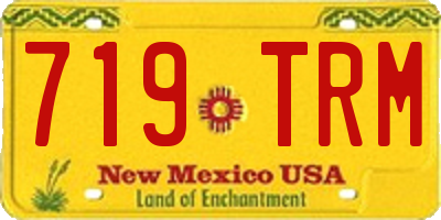 NM license plate 719TRM