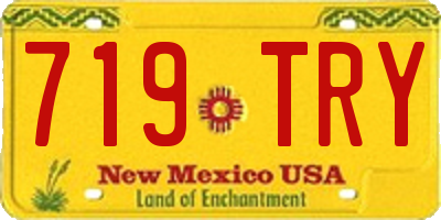 NM license plate 719TRY