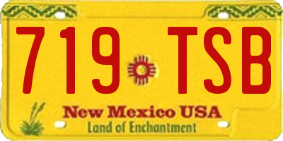 NM license plate 719TSB