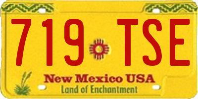 NM license plate 719TSE