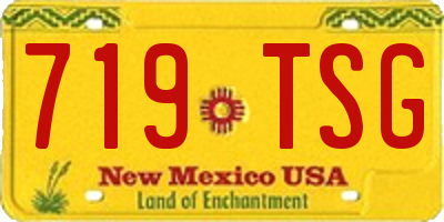 NM license plate 719TSG