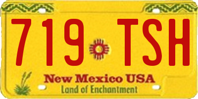 NM license plate 719TSH