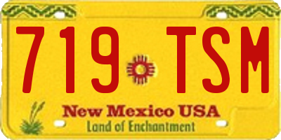 NM license plate 719TSM