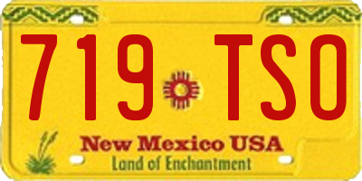 NM license plate 719TSO