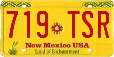 NM license plate 719TSR