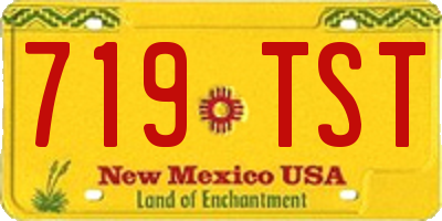 NM license plate 719TST