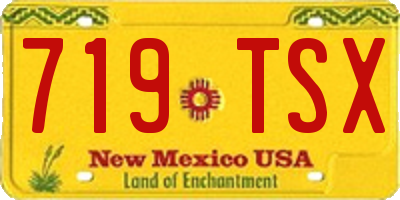 NM license plate 719TSX