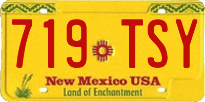 NM license plate 719TSY