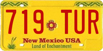 NM license plate 719TUR