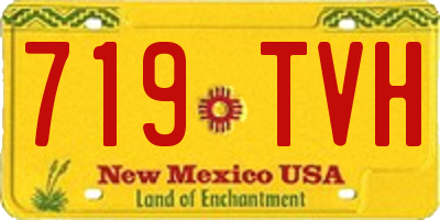 NM license plate 719TVH
