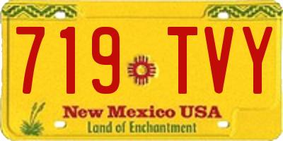 NM license plate 719TVY