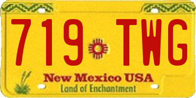 NM license plate 719TWG