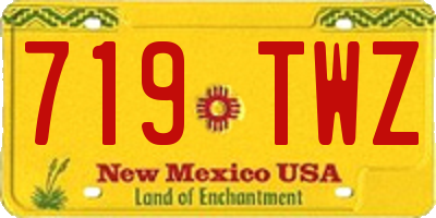 NM license plate 719TWZ