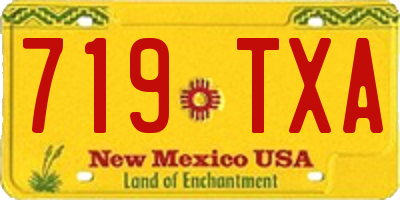 NM license plate 719TXA