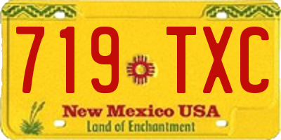 NM license plate 719TXC