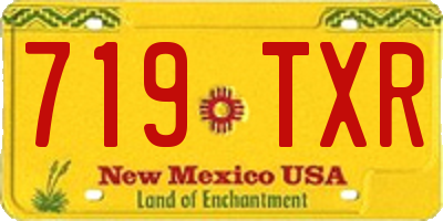 NM license plate 719TXR