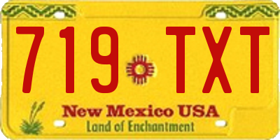 NM license plate 719TXT