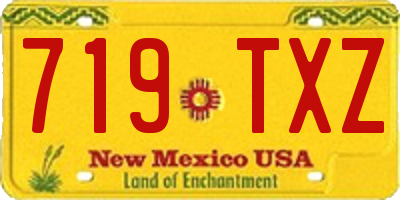 NM license plate 719TXZ