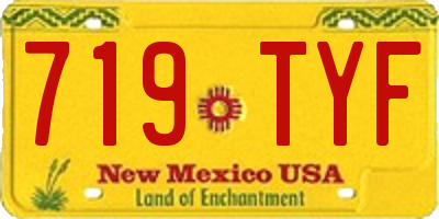 NM license plate 719TYF