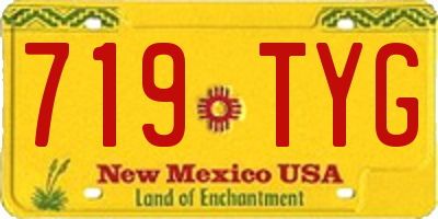 NM license plate 719TYG