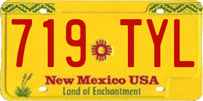 NM license plate 719TYL