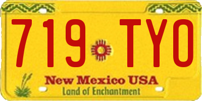 NM license plate 719TYO