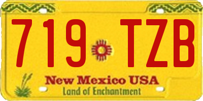 NM license plate 719TZB