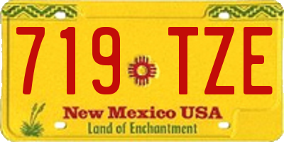 NM license plate 719TZE