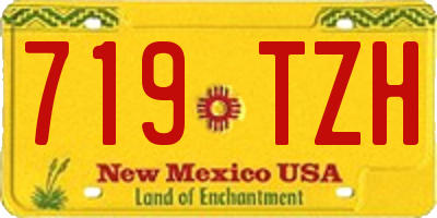 NM license plate 719TZH