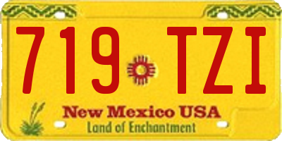 NM license plate 719TZI
