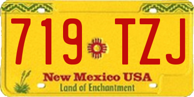 NM license plate 719TZJ