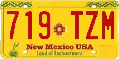 NM license plate 719TZM