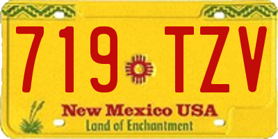 NM license plate 719TZV