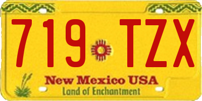 NM license plate 719TZX