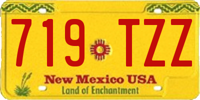 NM license plate 719TZZ