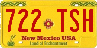 NM license plate 722TSH