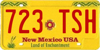 NM license plate 723TSH